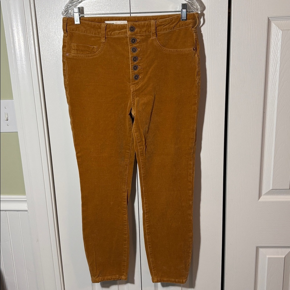Anthropologie Pilcro High Rise Skinny Micro Corduroy Cedar Gold Sz 31 Preowned